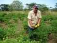 VENEZUELA: Asambleas Agrarias Parroquiales arrancan este miércoles para enfrentar guerra económica  
